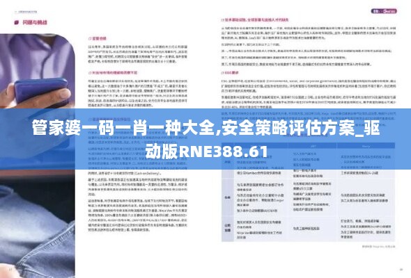 管家婆一码一肖一种大全,安全策略评估方案_驱动版RNE388.61