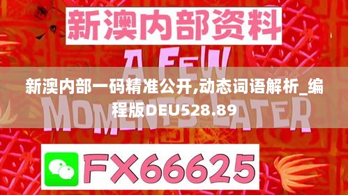 新澳内部一码精准公开,动态词语解析_编程版DEU528.89