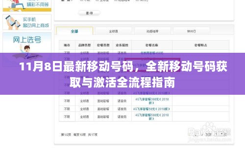 11月8日全新移动号码获取与激活全流程指南
