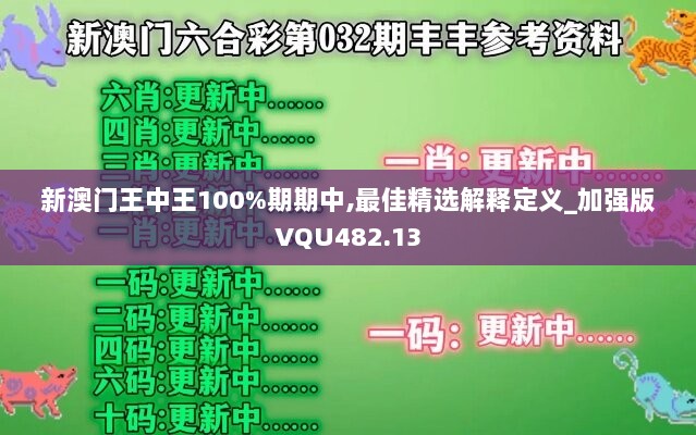 新澳门王中王100%期期中,最佳精选解释定义_加强版VQU482.13