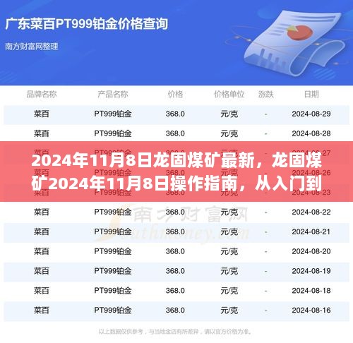 龙固煤矿2024年11月8日操作指南，从入门到精通的步骤详解