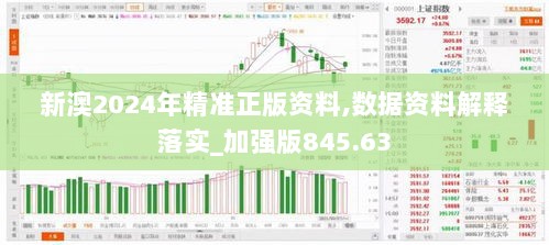 新澳2024年精准正版资料,数据资料解释落实_加强版845.63