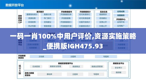 一码一肖100%中用户评价,资源实施策略_便携版IGH475.93