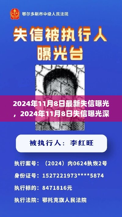 2024年11月8日失信曝光深度解析