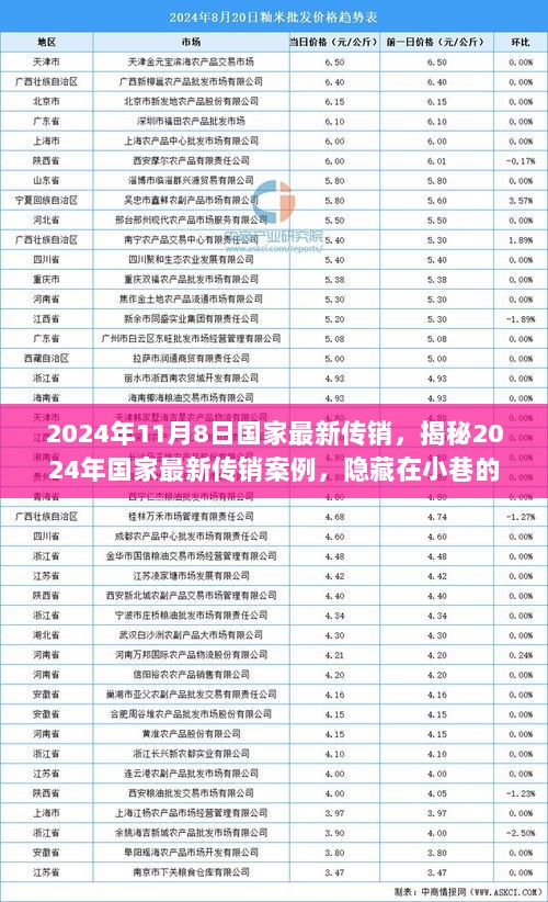 2024年国家最新传销案例揭秘，隐藏在小巷特色小店背后的真相