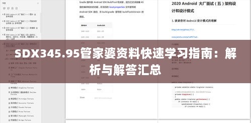 SDX345.95管家婆资料快速学习指南：解析与解答汇总