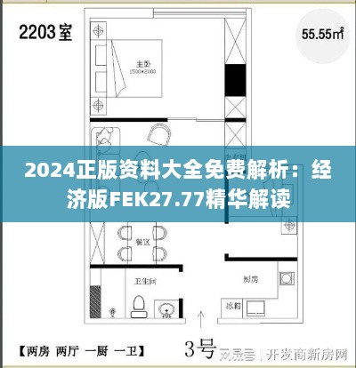 2024正版资料大全免费解析：经济版FEK27.77精华解读