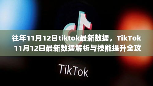 TikTok 11月12日最新数据解析与技能提升全攻略