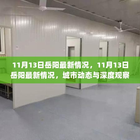 11月13日岳阳最新动态与深度观察