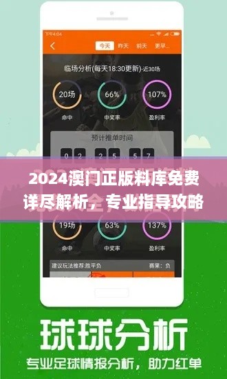 2024澳门正版料库免费详尽解析，专业指导攻略_DTL61.180互动版