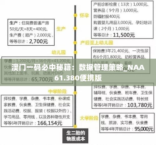 澳门一码必中秘籍：数据管理策略_NAA61.380便携版