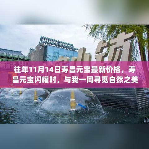 寿昌元宝价格波动下的自然之美寻觅之旅