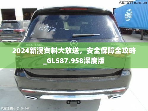 2024新澳资料大放送，安全保障全攻略_GLS87.958深度版