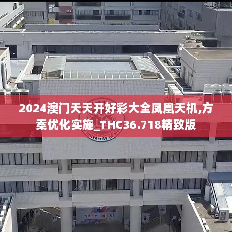 2024澳门天天开好彩大全凤凰天机,方案优化实施_THC36.718精致版