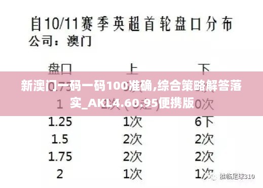 新澳门一码一码100准确,综合策略解答落实_AKL4.60.95便携版