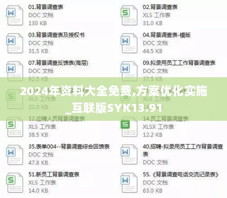 2024年资料大全免费,方案优化实施_互联版SYK13.91