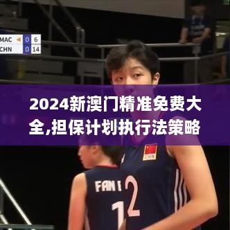 2024新澳门精准免费大全,担保计划执行法策略_外观版ZOC7.49