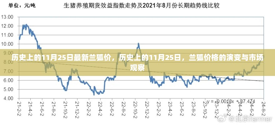 历史上的11月25日，兰狐价格的演变与市场观察