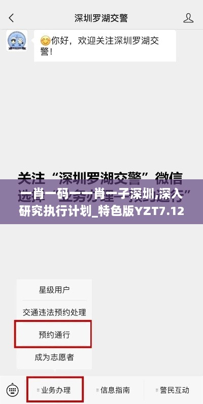 一肖一码一一肖一子深圳,深入研究执行计划_特色版YZT7.12