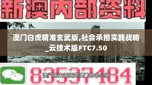 澳门白虎精准玄武版,社会承担实践战略_云技术版FTC7.50