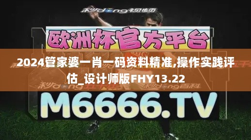 2024管家婆一肖一码资料精准,操作实践评估_设计师版FHY13.22