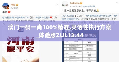 澳门一码一肖100%精准,灵活性执行方案_体验版ZUL13.44