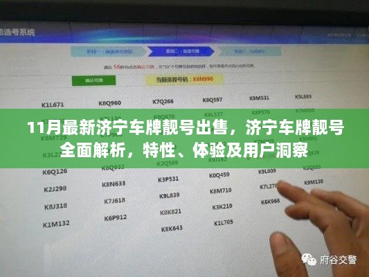 济宁车牌靓号全面解析，特性、用户体验与用户洞察