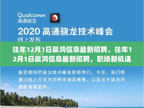 往年12月1日晨鸿信息最新招聘启事，职场新机遇，你准备好了吗？