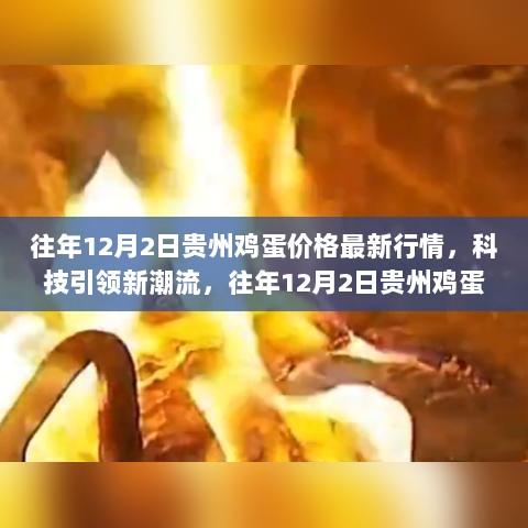 往年12月2日贵州鸡蛋价格行情与智能科技体验的融合