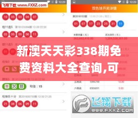 新澳天天彩338期免费资料大全查询,可靠执行计划_C版152.121-1