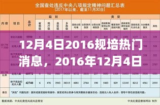 2016年12月4日规培行业热门消息解析与热点事件回顾