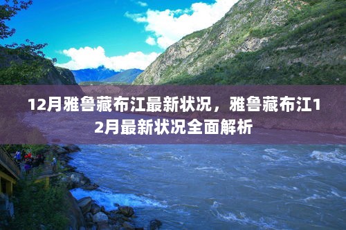 12月雅鲁藏布江最新状况全面解析