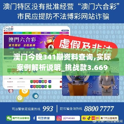 澳门今晚341期资料查询,实际案例解析说明_挑战款3.669