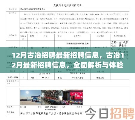 古冶12月最新招聘信息全面解析与体验报告