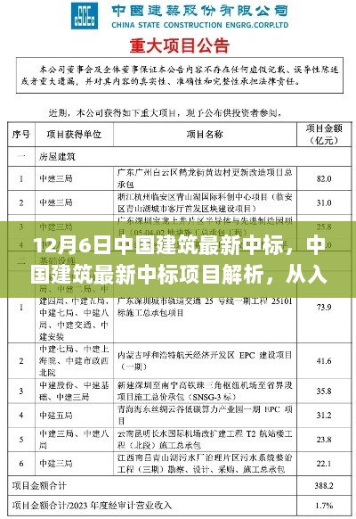 中国建筑最新中标项目解析，从入门到精通的步骤指南