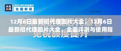 12月6日最新招代理图片大全，全面评测与使用指南