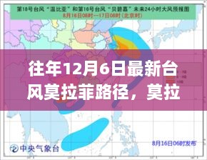 2024年12月8日 第15页