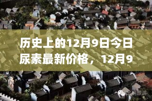 12月9日历史回顾，探秘小巷隐世尿素店与今日尿素价格揭秘之旅