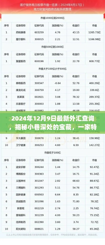 揭秘特色小店外汇故事，最新外汇查询指南（2024年12月9日）