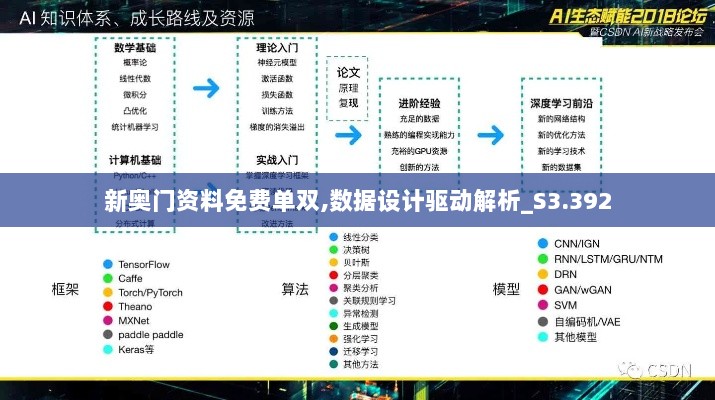 新奥门资料免费单双,数据设计驱动解析_S3.392