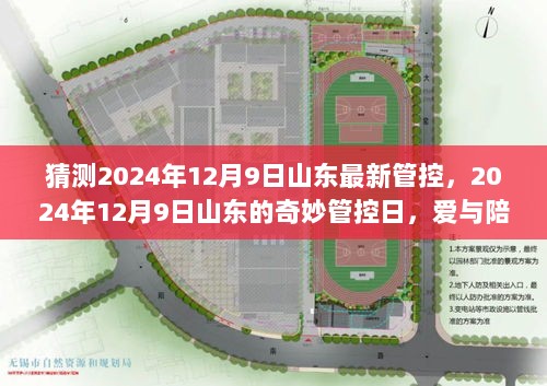 山东管控新动向，2024年12月9日的奇妙故事与爱与陪伴的温馨时光