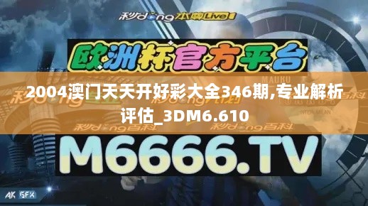 2004澳门天天开好彩大全346期,专业解析评估_3DM6.610