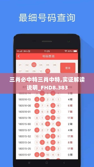 三肖必中特三肖中特,实证解读说明_FHD8.383