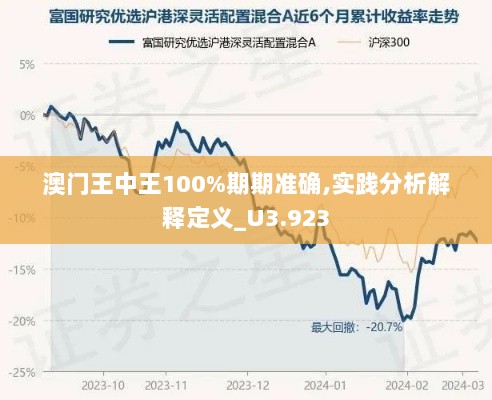 澳门王中王100%期期准确,实践分析解释定义_U3.923