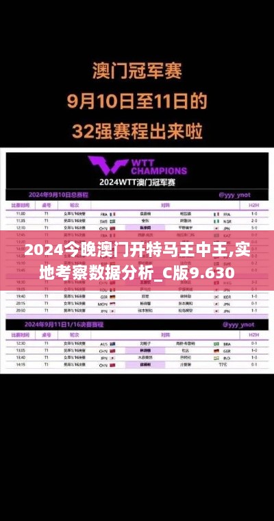 2024今晚澳门开特马王中王,实地考察数据分析_C版9.630