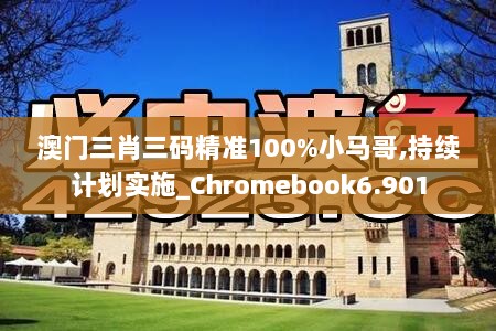 澳门三肖三码精准100%小马哥,持续计划实施_Chromebook6.901