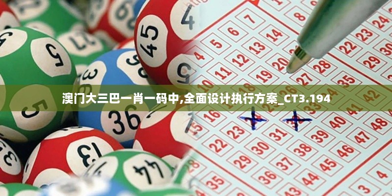 澳门大三巴一肖一码中,全面设计执行方案_CT3.194