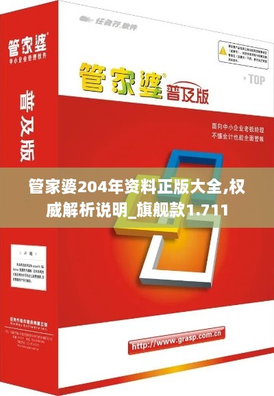 管家婆204年资料正版大全,权威解析说明_旗舰款1.711