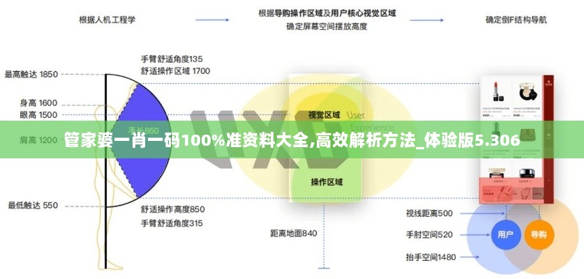 管家婆一肖一码100%准资料大全,高效解析方法_体验版5.306