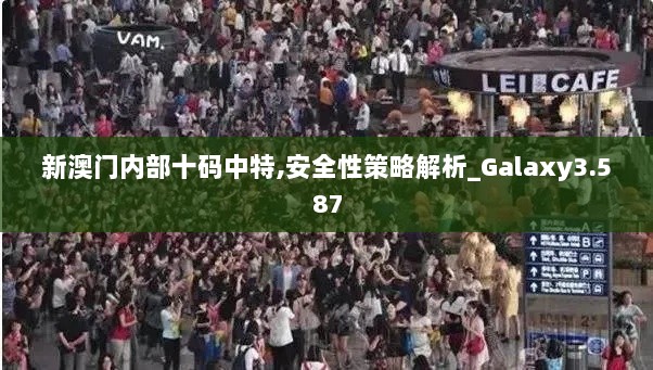 新澳门内部十码中特,安全性策略解析_Galaxy3.587